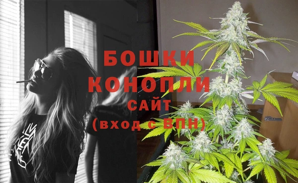 дмт Вяземский