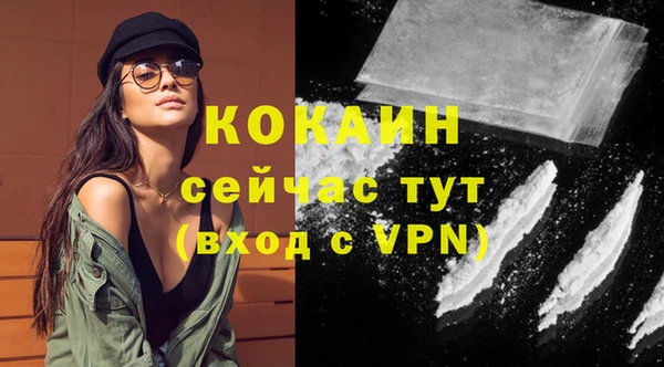 дмт Вяземский