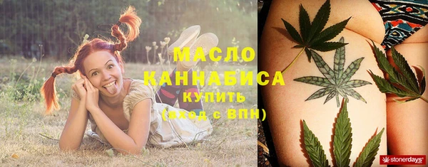 дмт Вяземский