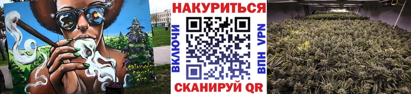 Каннабис SATIVA & INDICA  Купить где  Кудымкар 